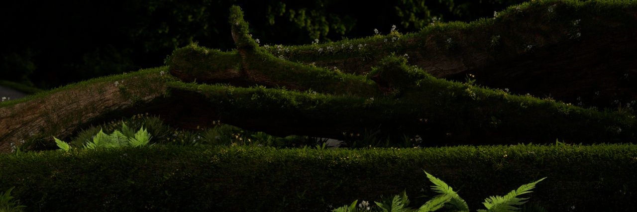 jic_lo's profile banner image