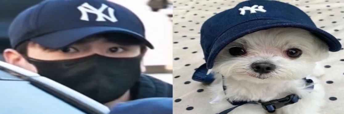 blu⁷ 🦡 banner