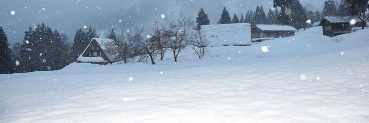 Kole banner