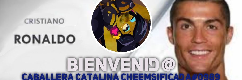 CopyrightXD's profile banner image