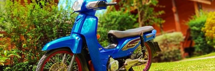 Wave it's bullish banner