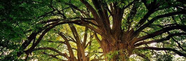 크ㄴ쥐🎀 banner