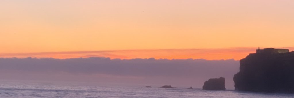 cinnamond's profile banner image