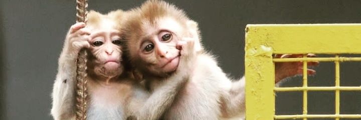 DeboraPangarib9's profile banner image