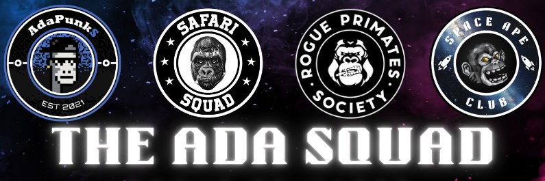 Space Ape Club | The Ada Squad's banner