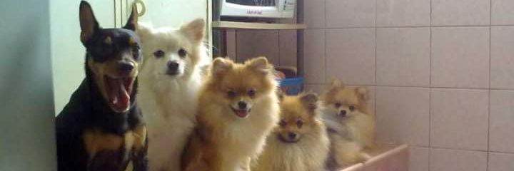 iambankpc's profile banner image