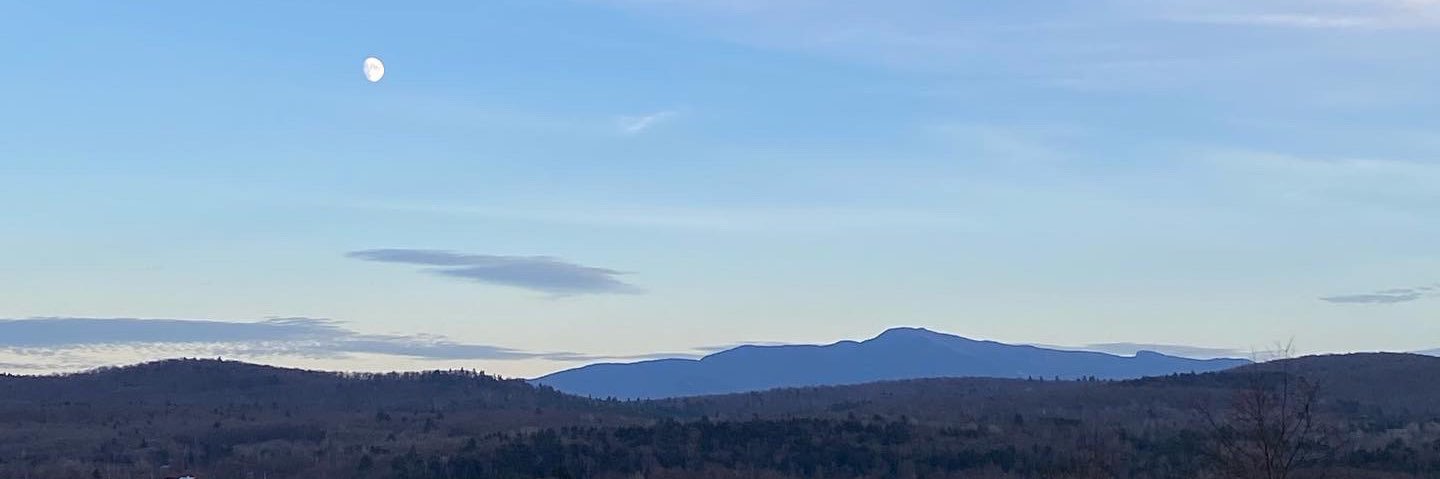 Taylor_Adams98's profile banner image