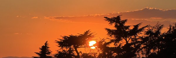 mngrblt Profile Banner