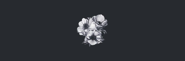 kany_fi Profile Banner