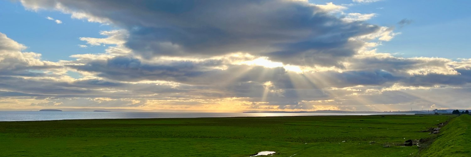 Marco Neumann banner