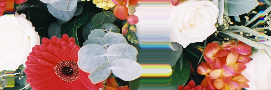 Mrs0renda's profile banner image