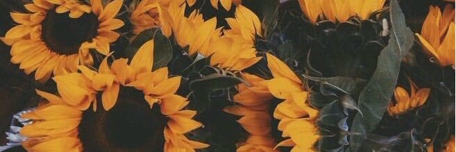ranataylor44's profile banner image