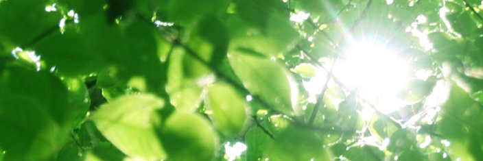 takurows's profile banner image