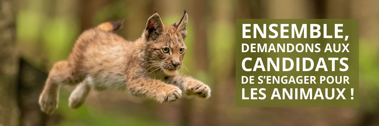 Engagement Animaux banner