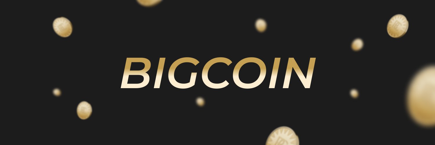 Big Coin banner