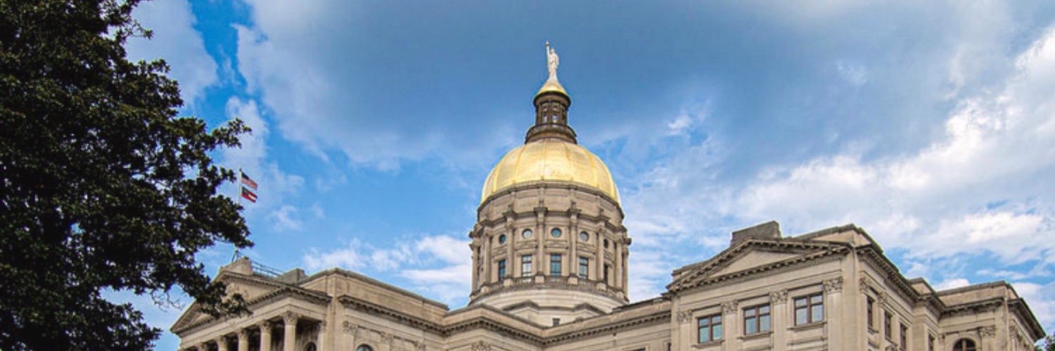 Georgia Freedom Caucus's banner
