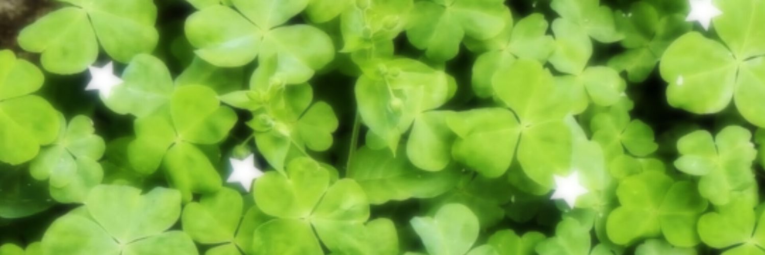 anya ִֶָ☾. banner
