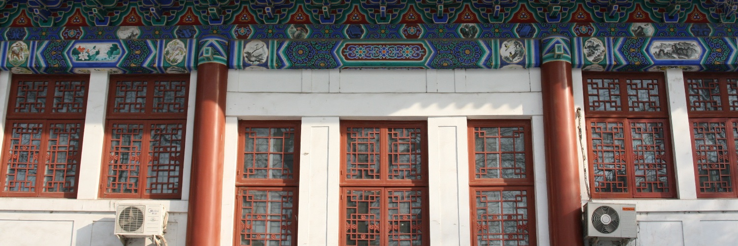Philip Lenczycki 蔡岳's banner