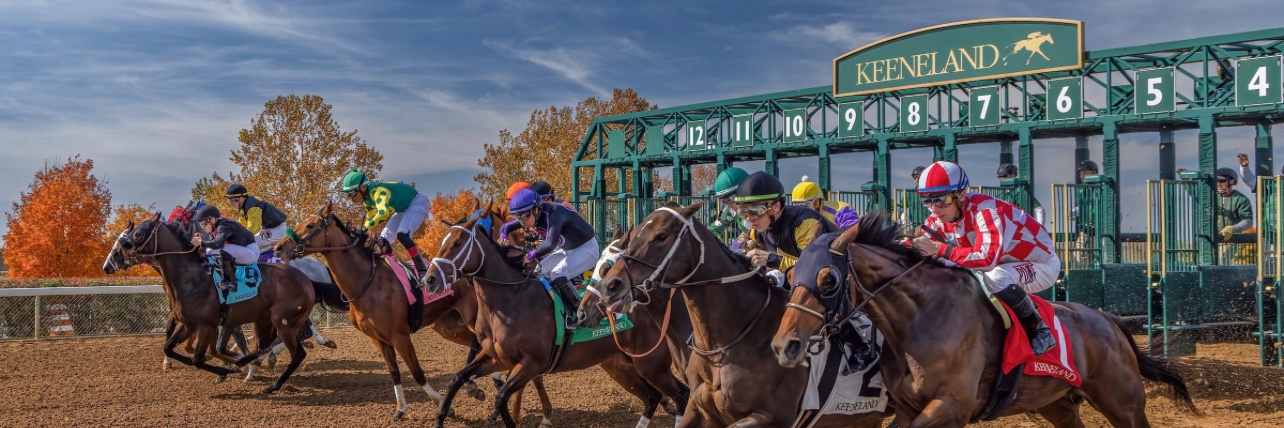 Tim Dougherty banner