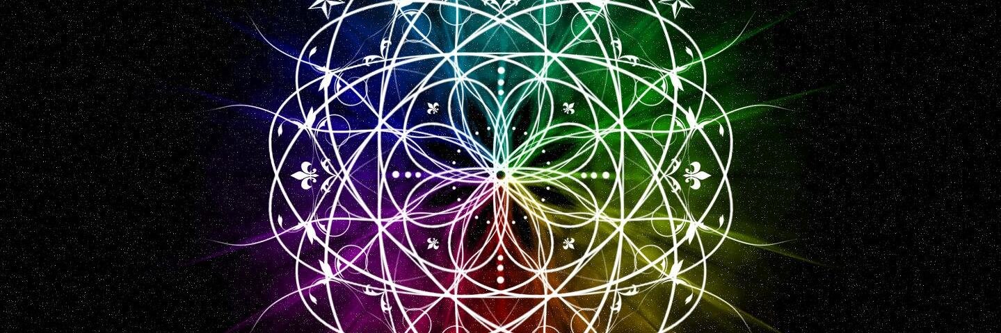 wuill_1's profile banner image