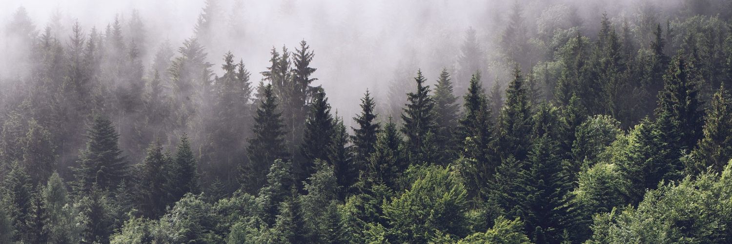 SarahESMay's profile banner image