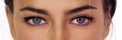 DIGITAL PONZI banner