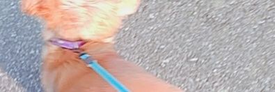 GenYospapa's profile banner image