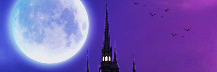 Moonblanc96's profile banner image