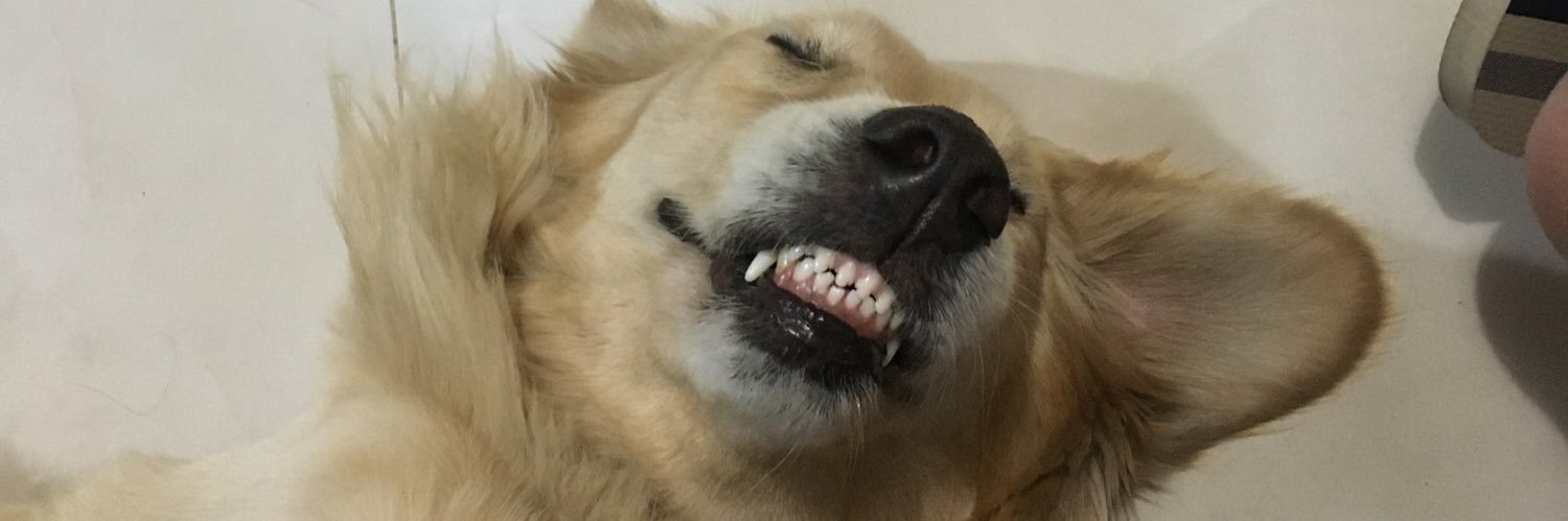 ClaraBittenc's profile banner image