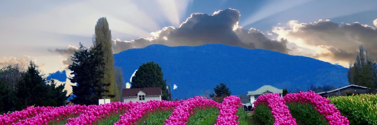 Carina Staab banner
