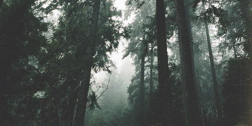 Alana_GAC's profile banner image
