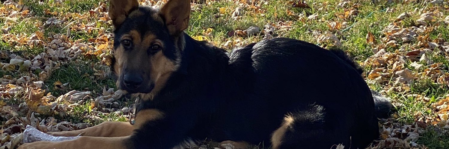 thesantucci's profile banner image