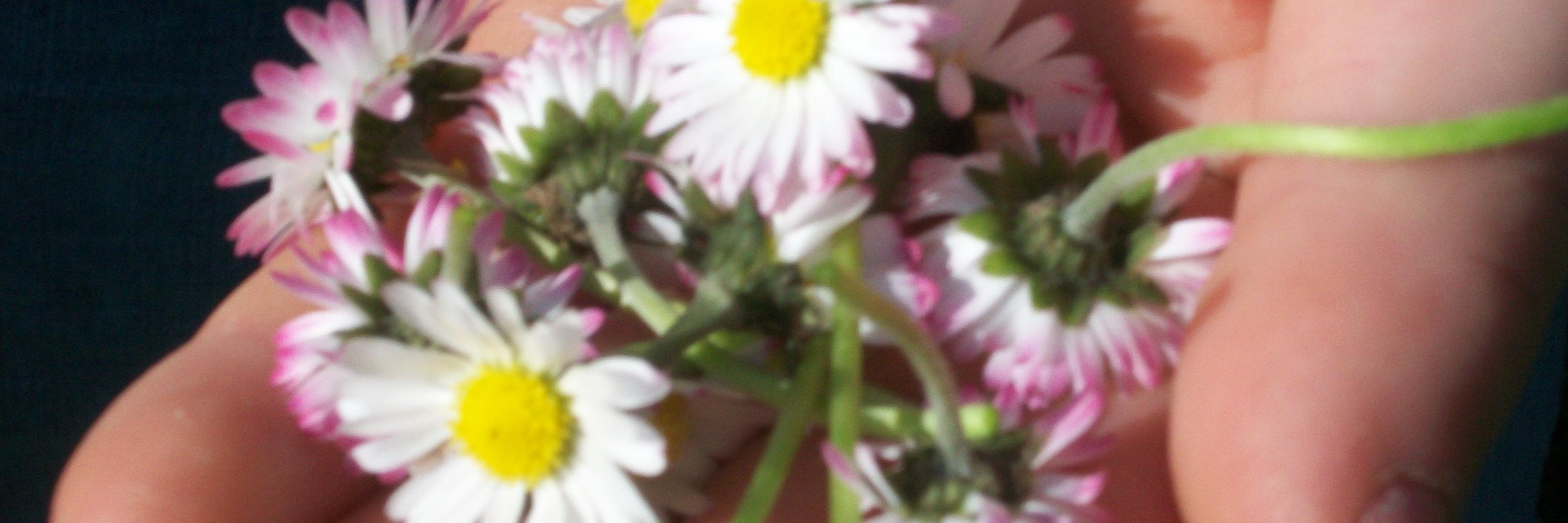misnsomething's profile banner image