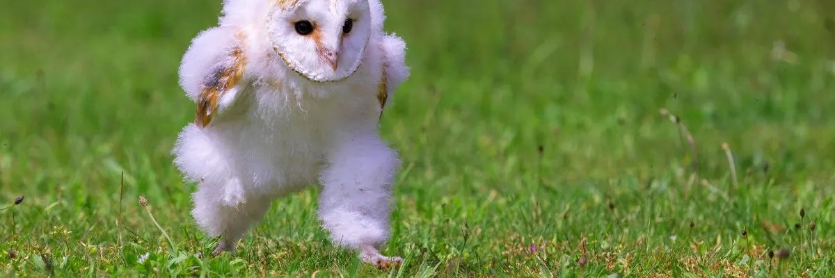 DarienSA's profile banner image