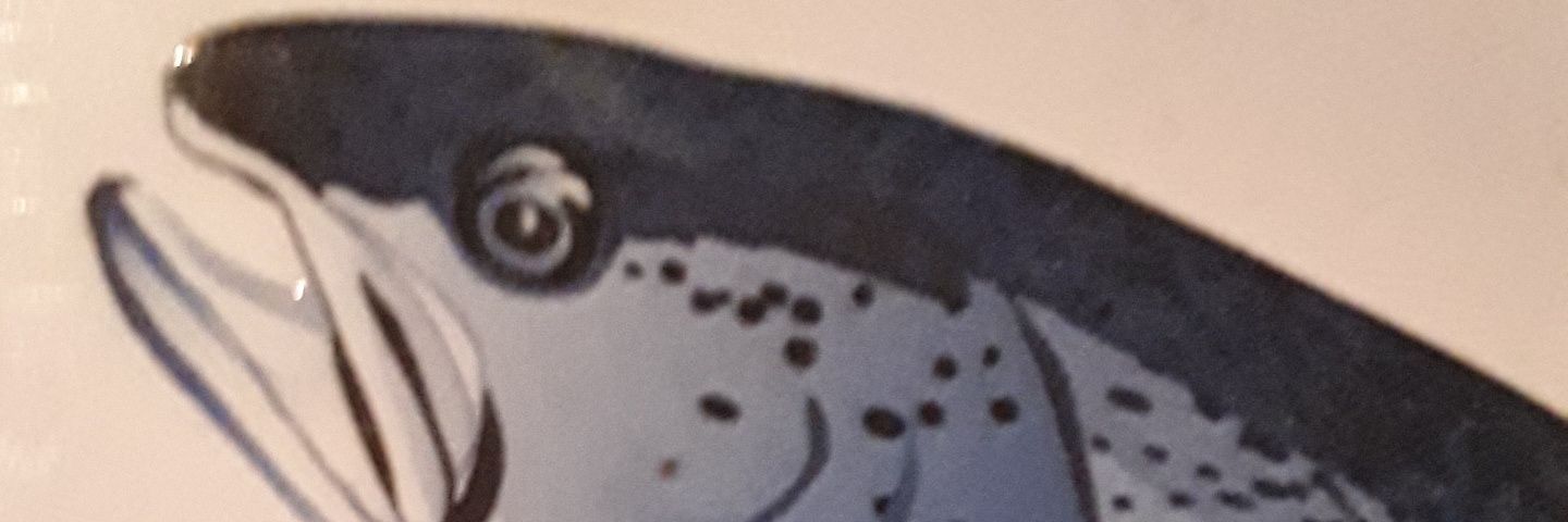 Mojte Motaoko banner