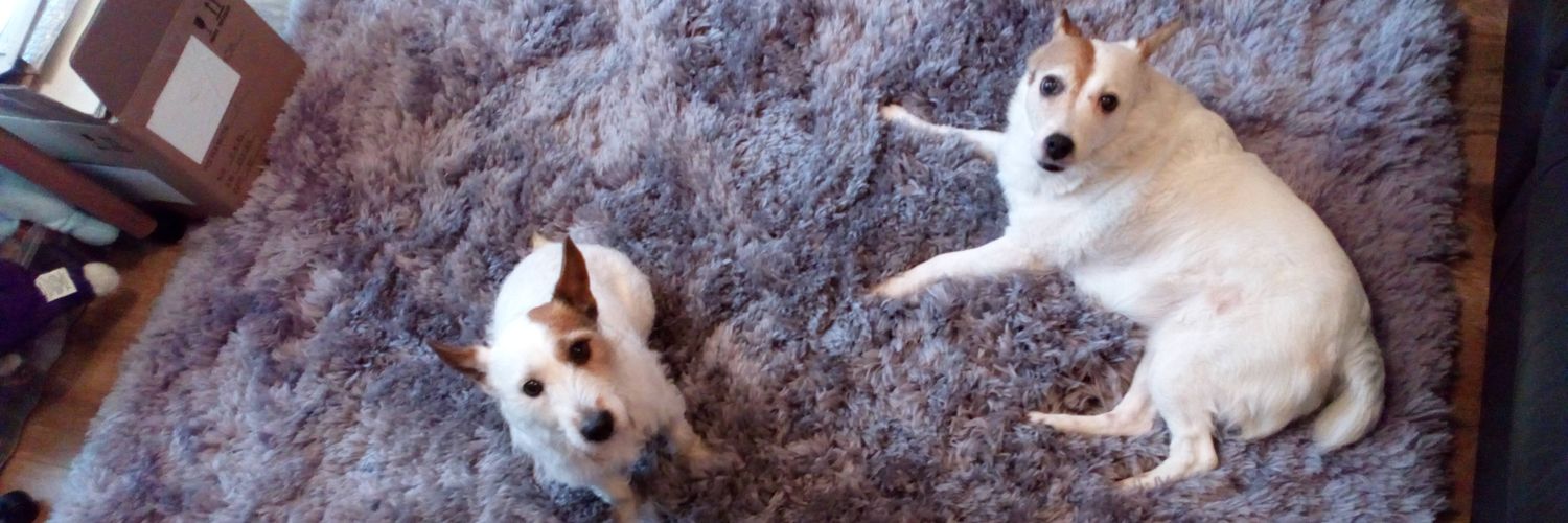 T-dog🏴󠁧󠁢󠁥󠁮󠁧󠁿🇬🇧 banner