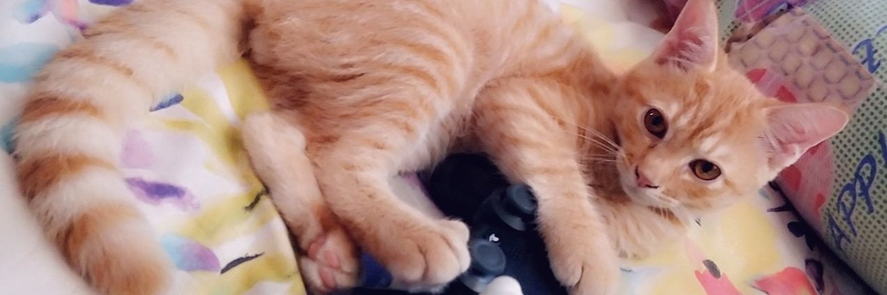 Rubaa's profile banner image