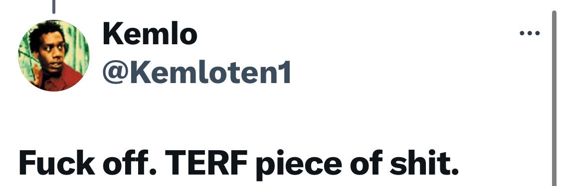 Rev. Terfy McTerface banner