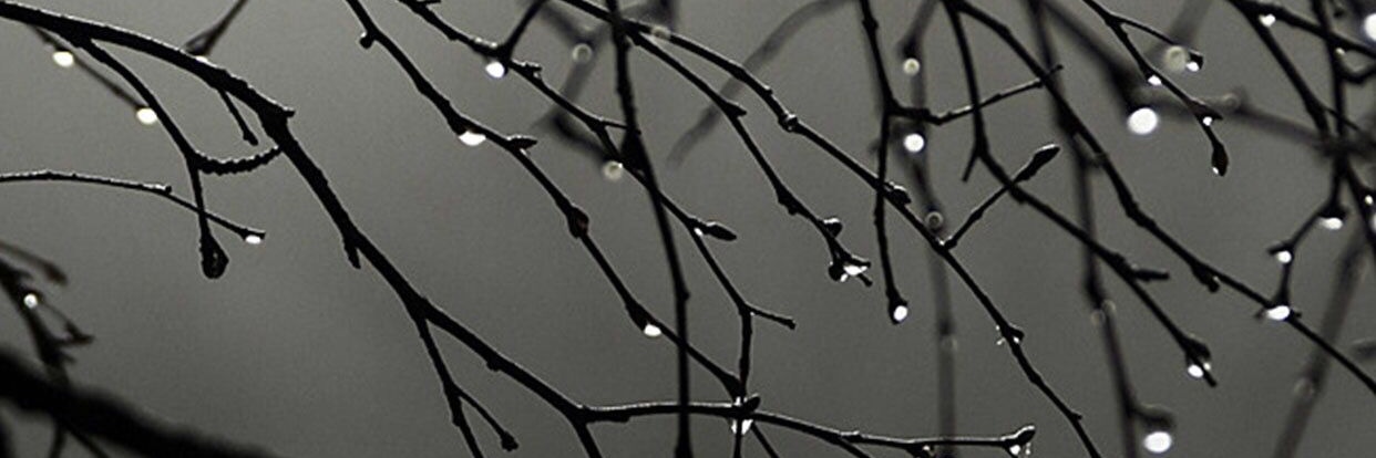 @purereason1972's banner