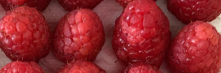 baciamiancora banner