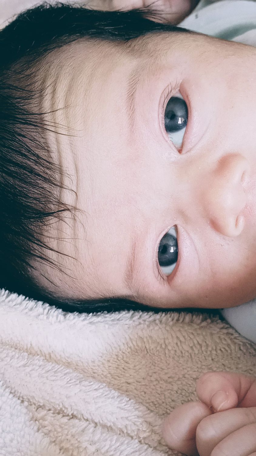 Alice Perdomo banner