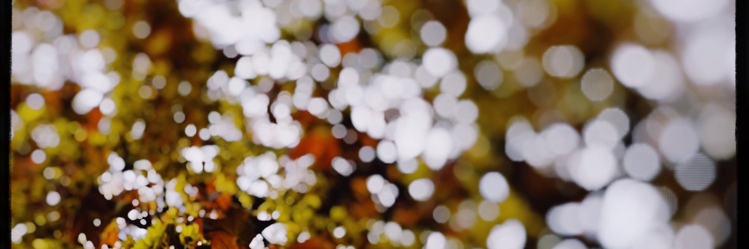 brittiskt's profile banner image