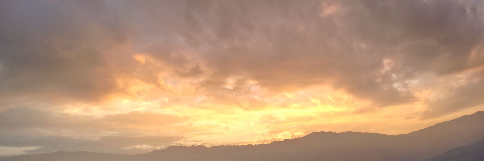 DarwinZ99's profile banner image