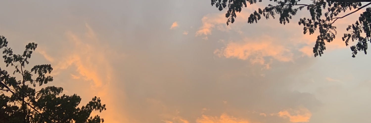 lolilo banner