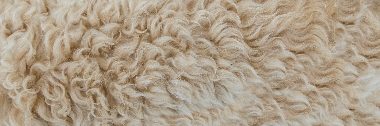 Beachtapes's profile banner image