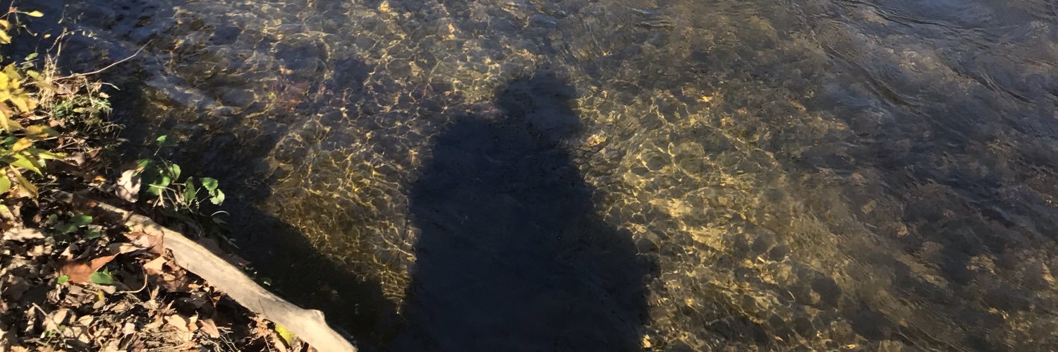 SuzanneParham5's profile banner image