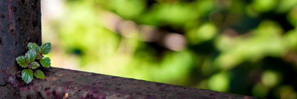 InteractiveDK Profile Banner