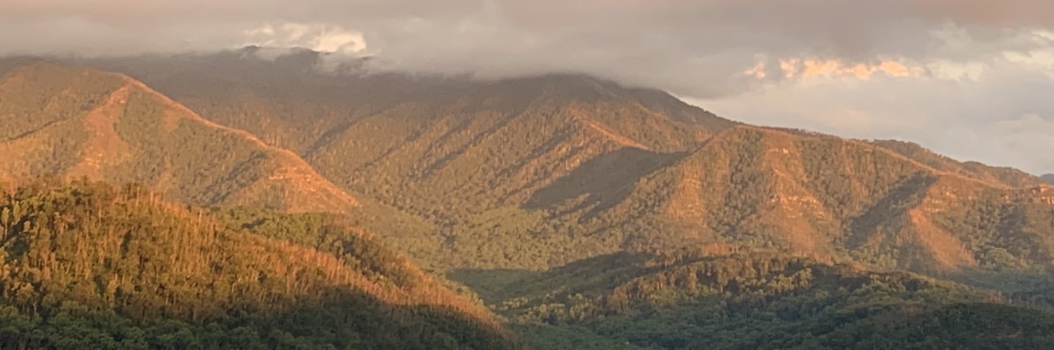 flwrfae's profile banner image
