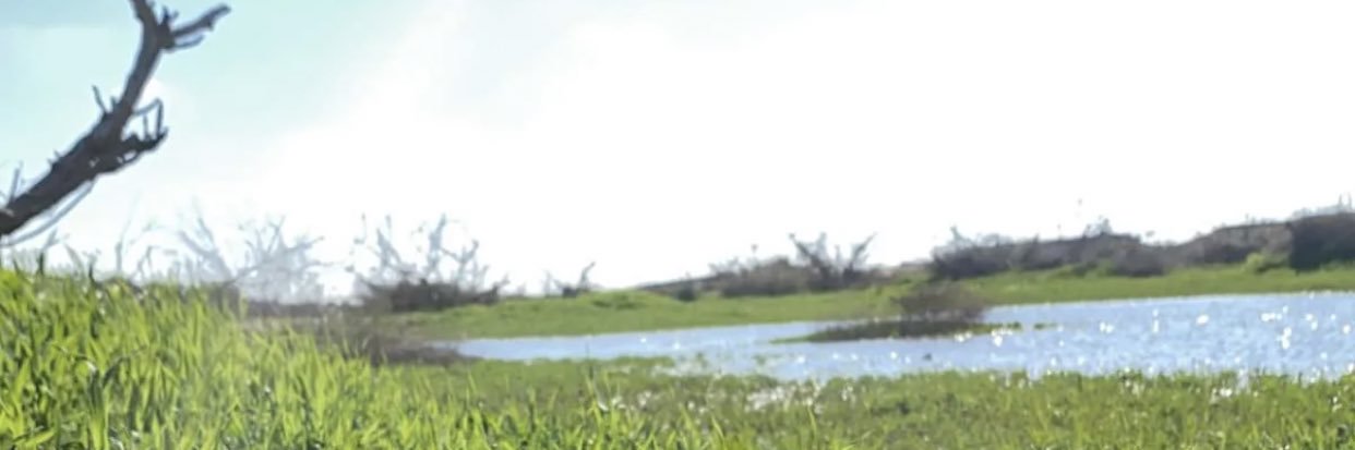 ناصر ـالحميداني banner