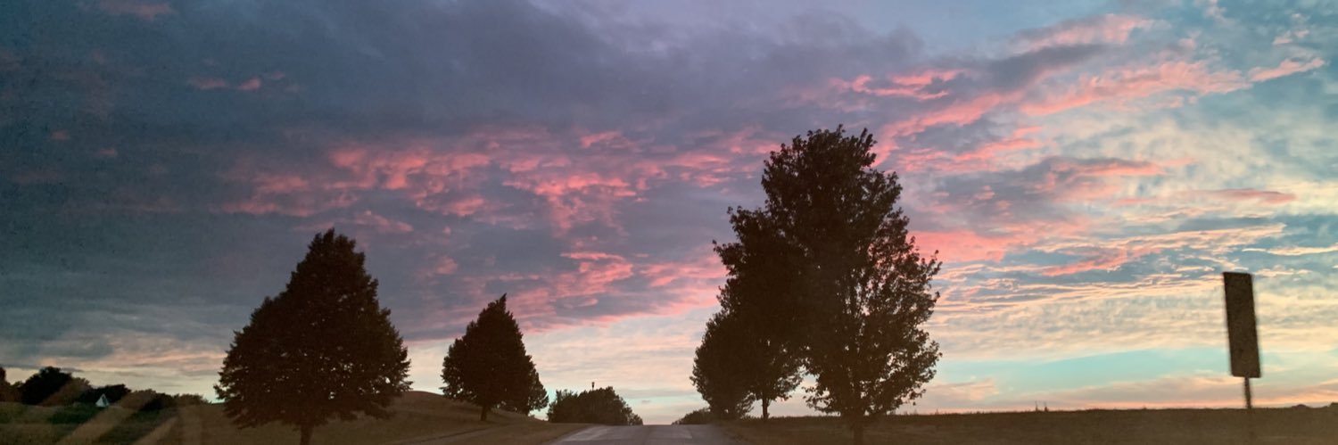 RyleeGehlsen's profile banner image